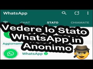 Come visualizzare i messaggi su WhatsApp in incognito senza aprire l'app.